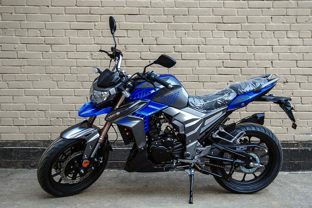 купить Мотоцикл RegulMoto T-Leopard 300