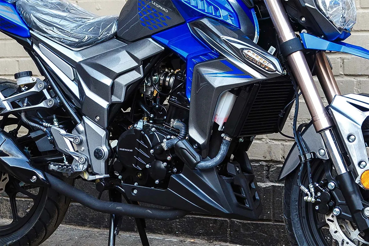 Мотоцикл RegulMoto T-Leopard 300