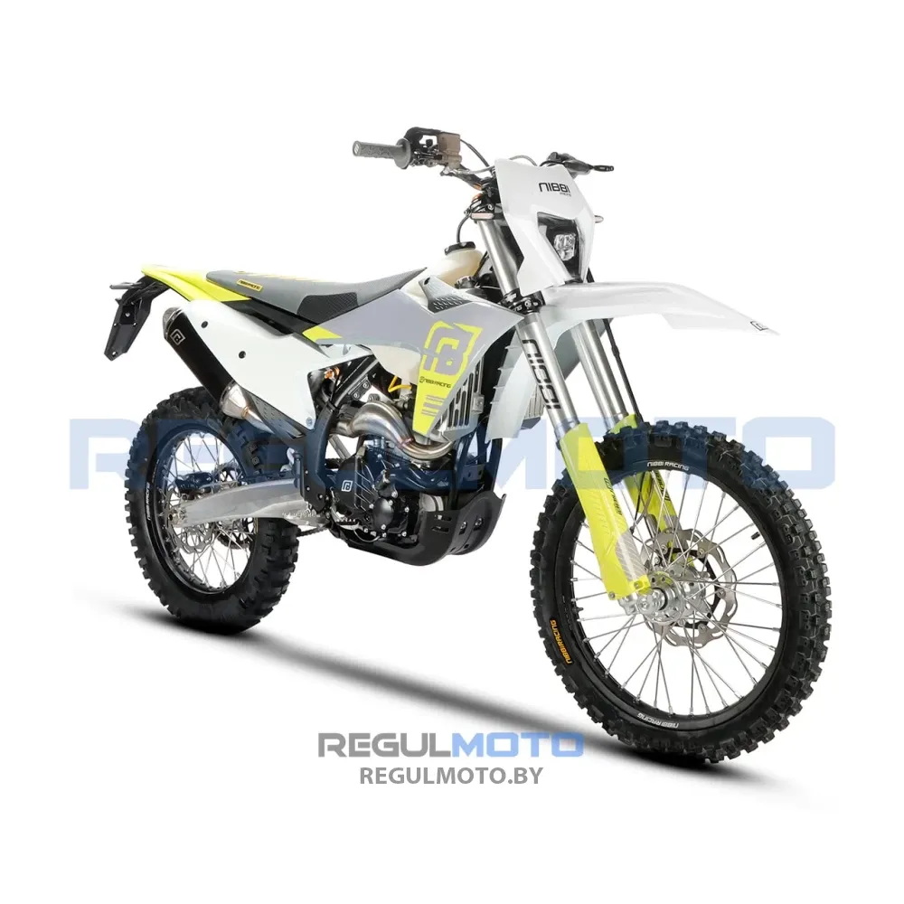 купить Мотоцикл RegulMoto NIBBI N300-S