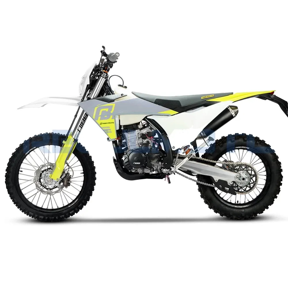 Мотоцикл RegulMoto NIBBI N300-S